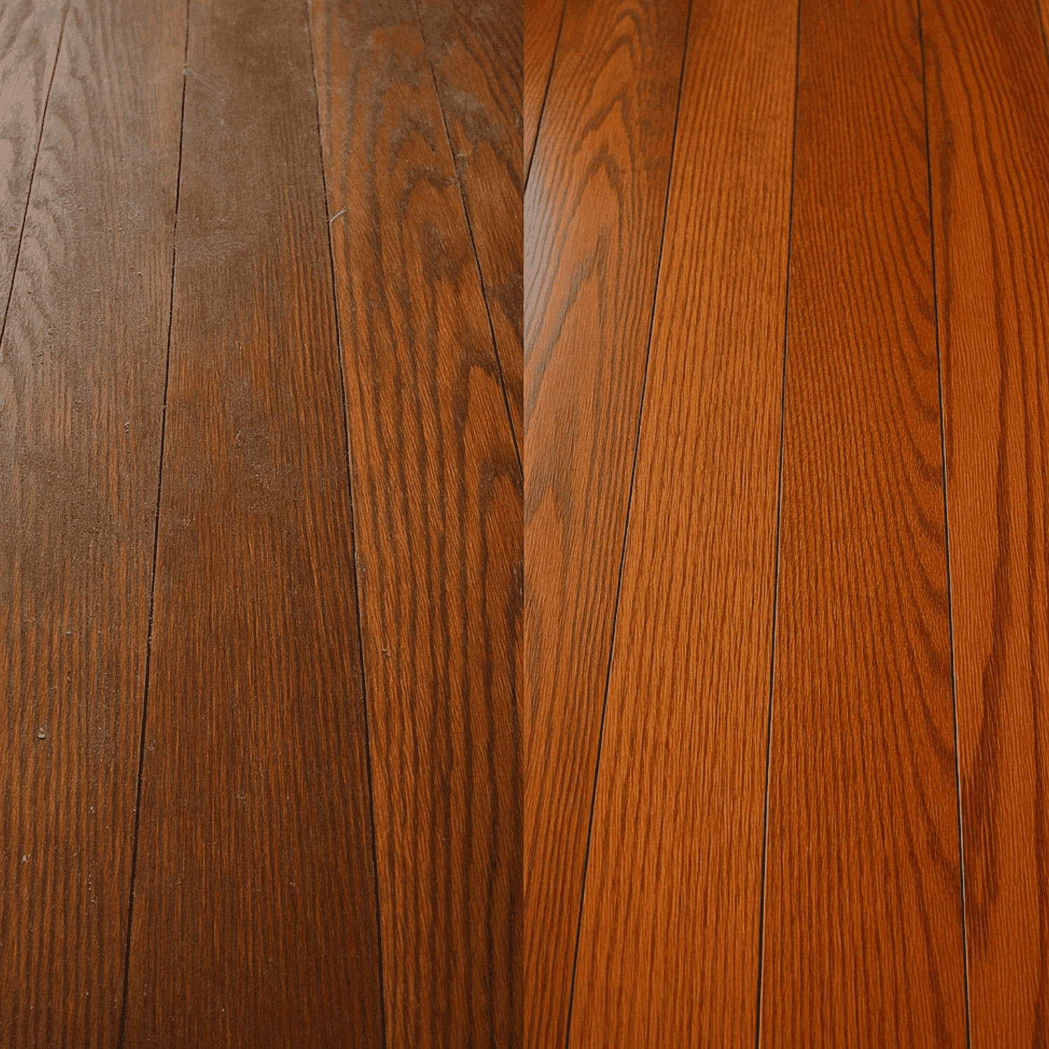 Before-and-after of a hardwood floor cleaned of pet urine staining