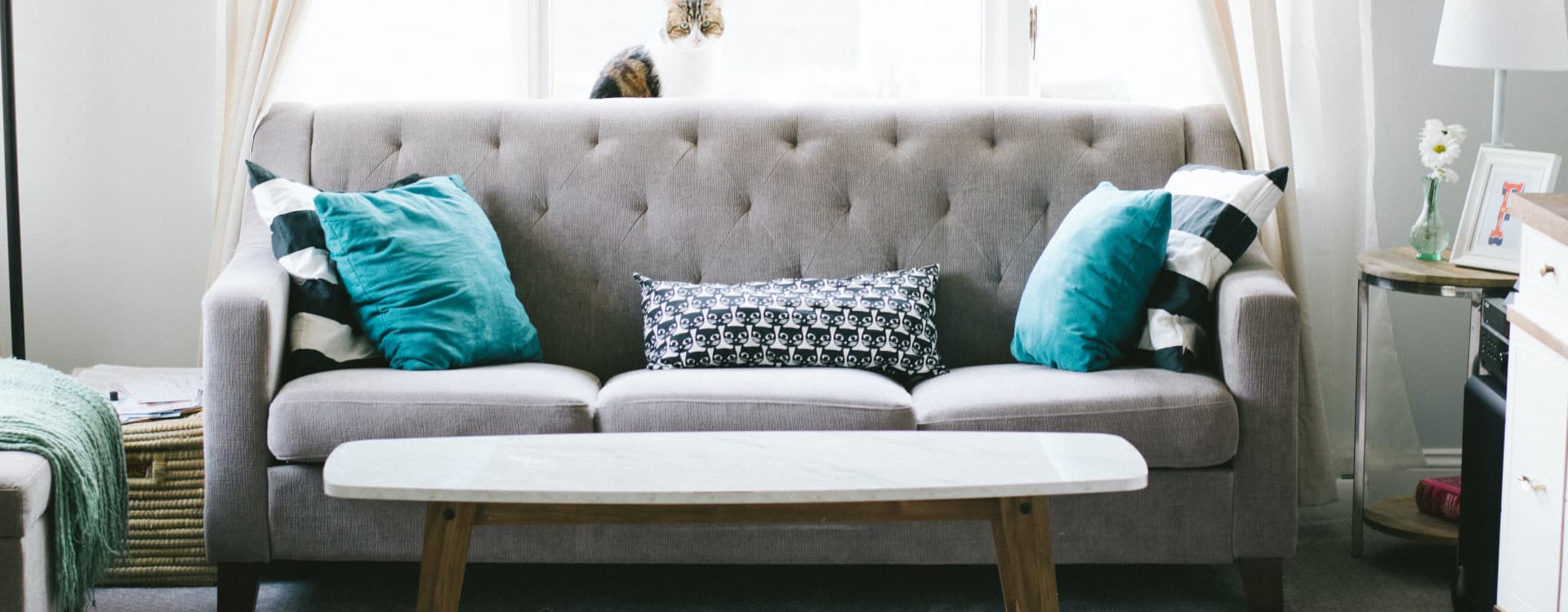 Upholstered sofa with cushions and throw pillows