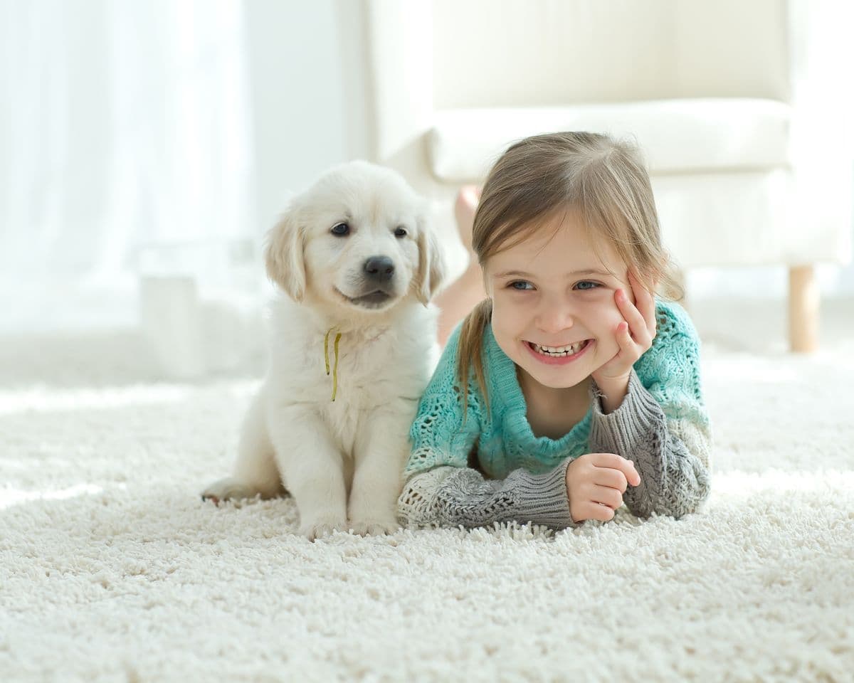 Child and a golden retriever puppy resting on clean, freshly treated carpet